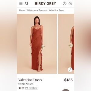 Birdy Grey Valentina Dress Chiffon Auburn Size Medium